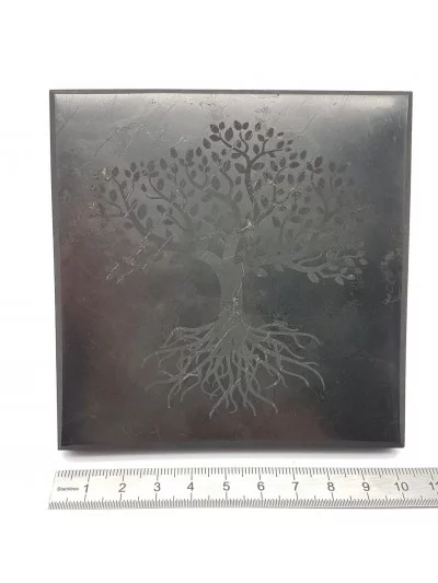 Plaque Carrée Shungite 10cm Arbre de Vie Lithothérapie Gaiance