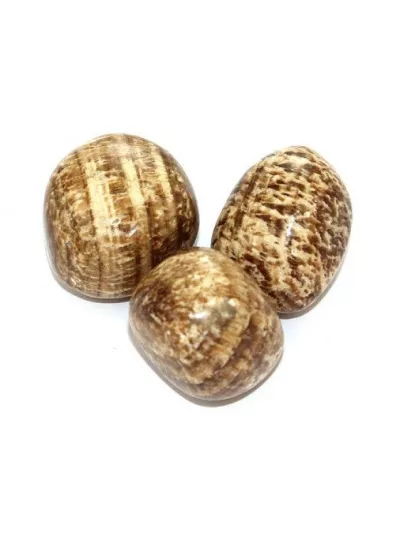 Aragonite - Vertus, Bienfaits et Propriétés Lithothérapie